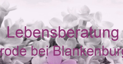 Lebensberatung Hüttenrode bei Blankenburg, Harz | Top-Experten für Kartenlegen, Wahrsagen, Hellsehen, Zukunftsdeutung. Lebensberatung Hüttenrode bei Blankenburg, Harz | Top-Experten für Kartenlegen, Wahrsagen, Hellsehen, Zukunftsdeutung.